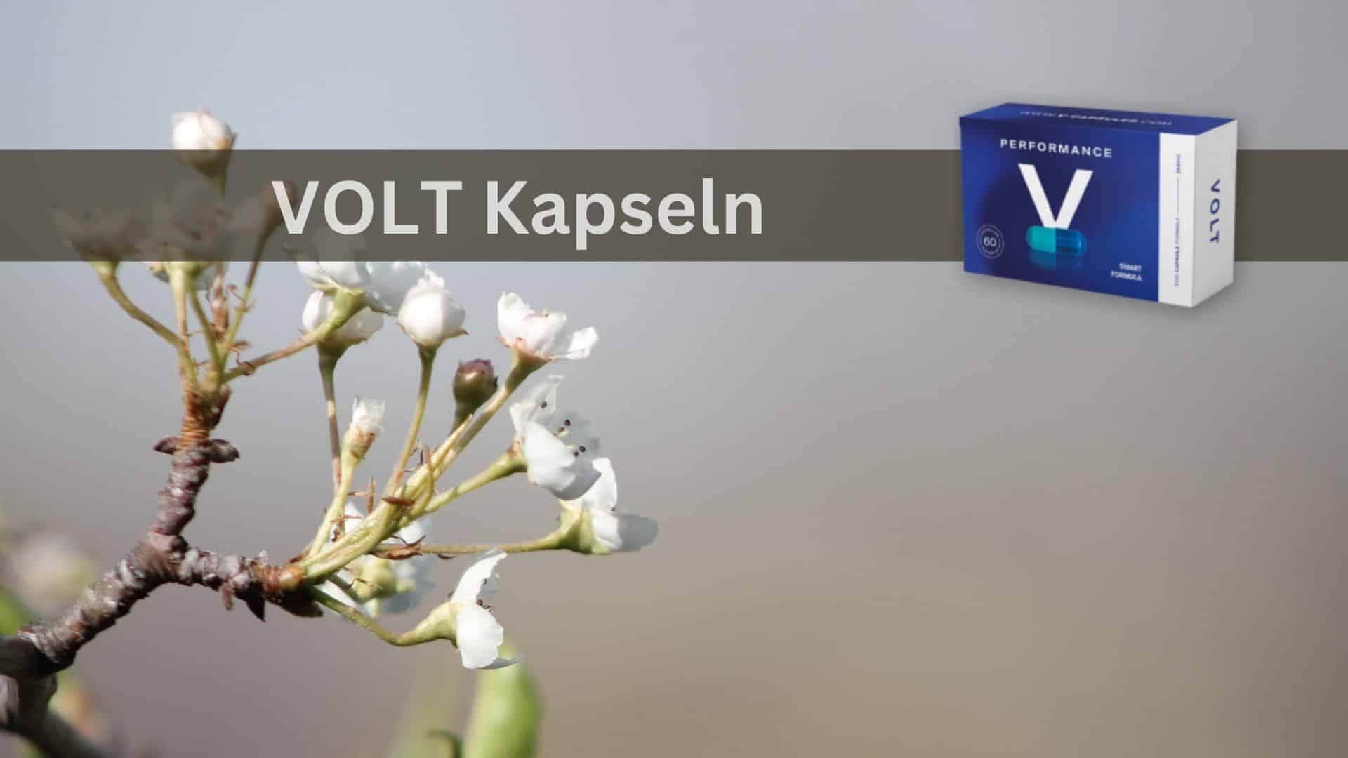 Volt Kapseln 100 mg: Optimale Dosierung für maximale Wirkung
