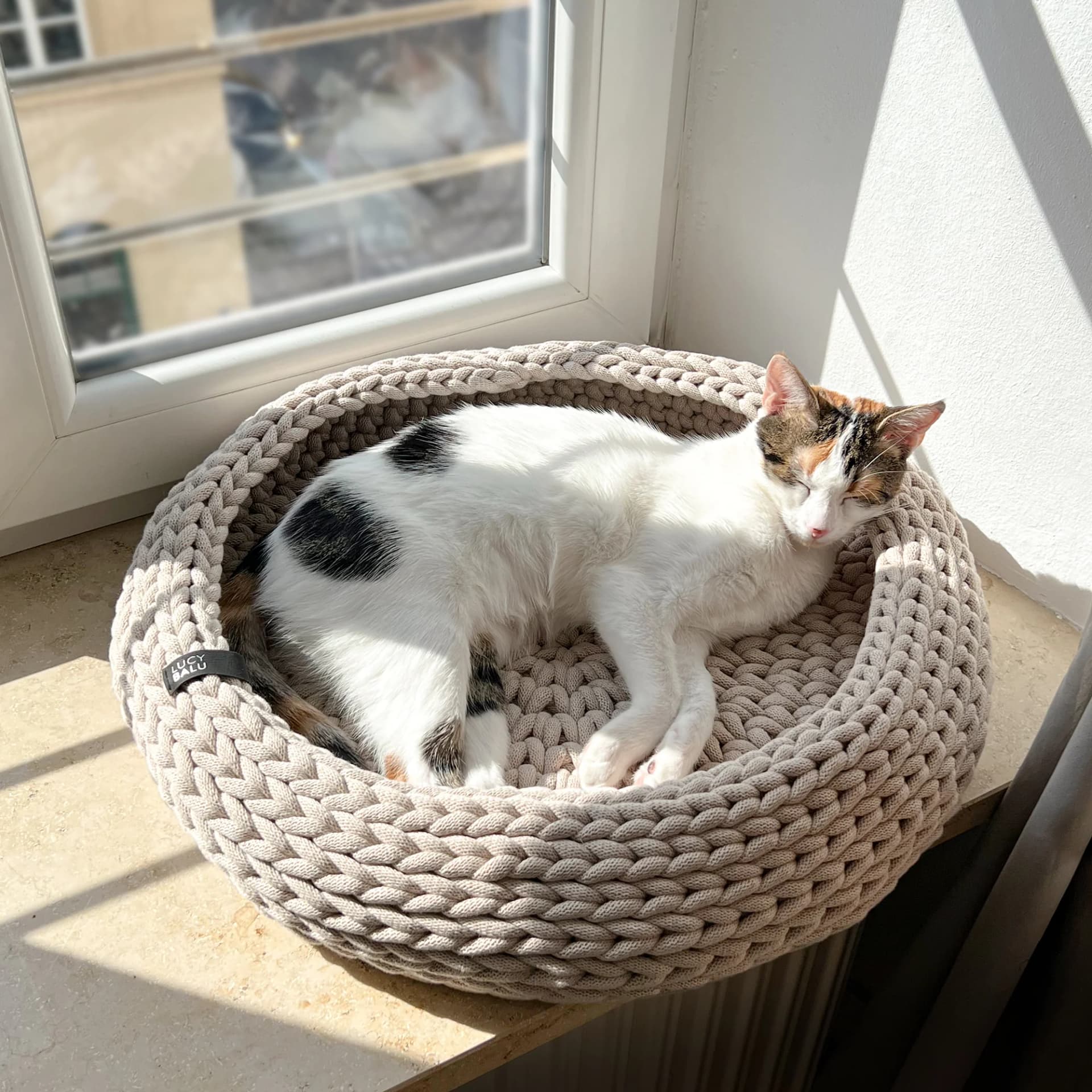 Warum ein Katzenbett mit integrierter Heizung sinnvoll ist