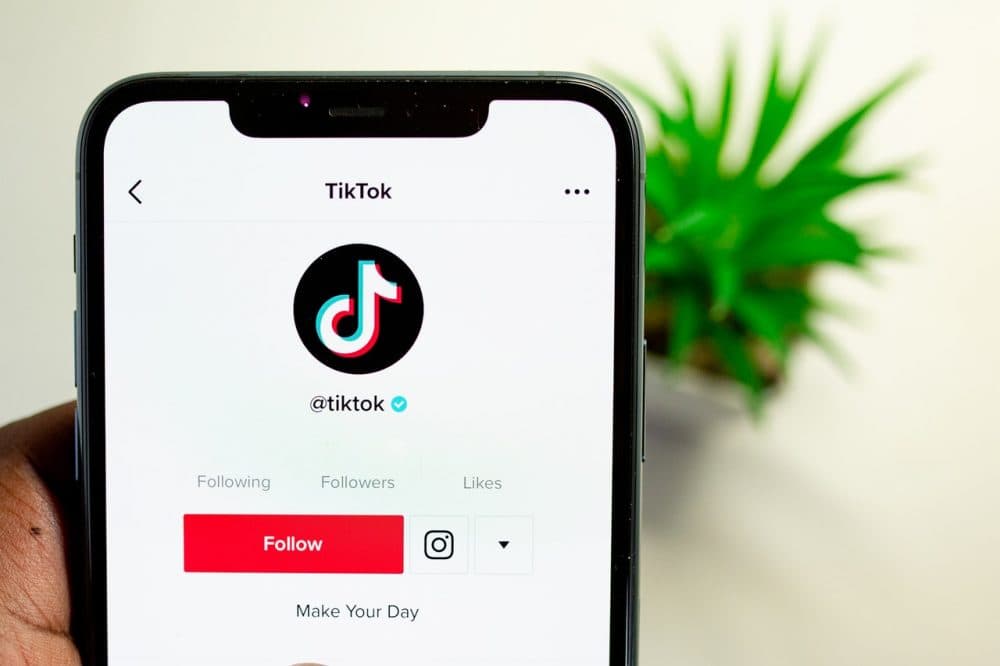 Die Vorteile von TikTok Likes kaufen für Content Creator