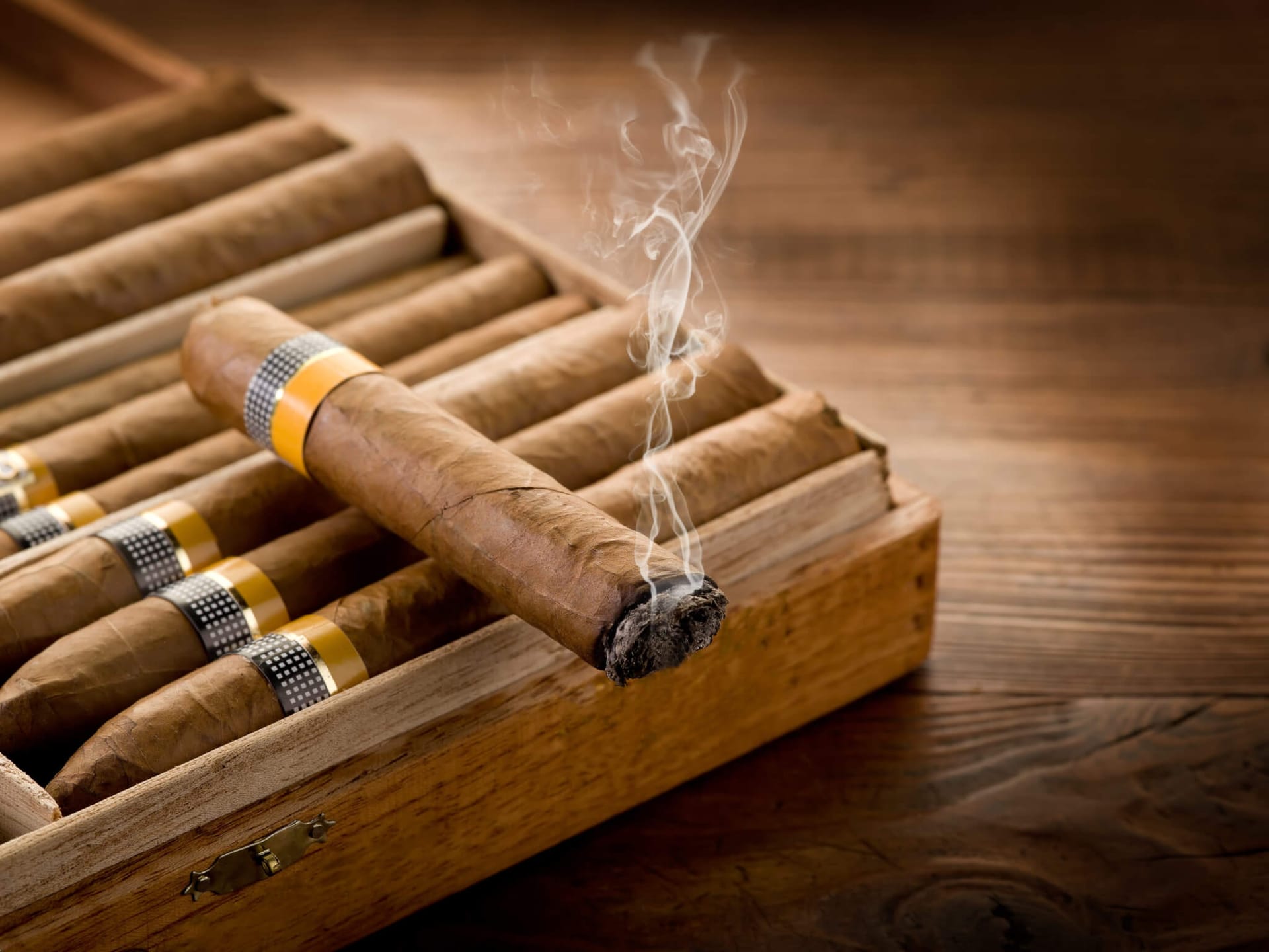 Entdecken Sie unsere exklusiven Zigarrenmarken online bei C-Cigars