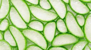 Entfesseln Sie die Kraft der Forever Living Aloe Vera online