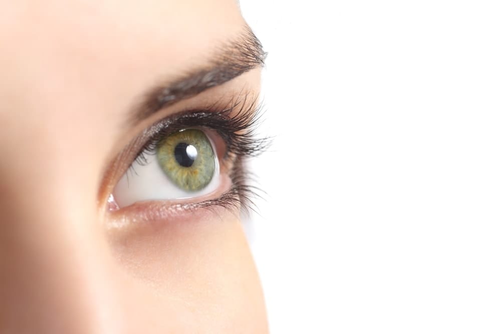 LashLink: Erleben Sie Wimpernpinzette und Augenbrauenpinzette für makelloses Styling