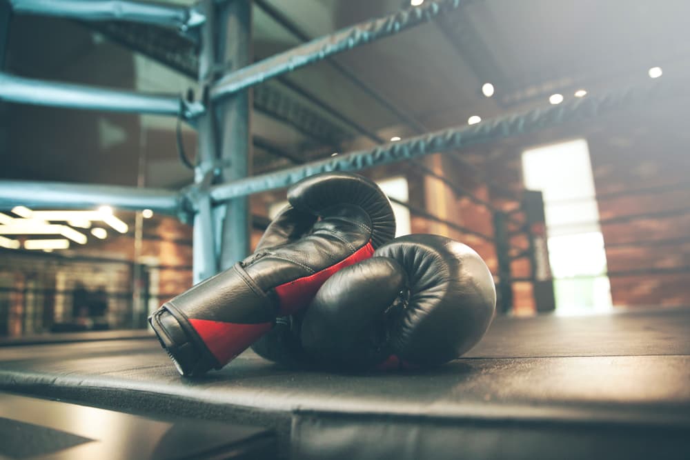 Trainiere wie ein Profi mit den besten Boxhandschuhen von PittsWear!