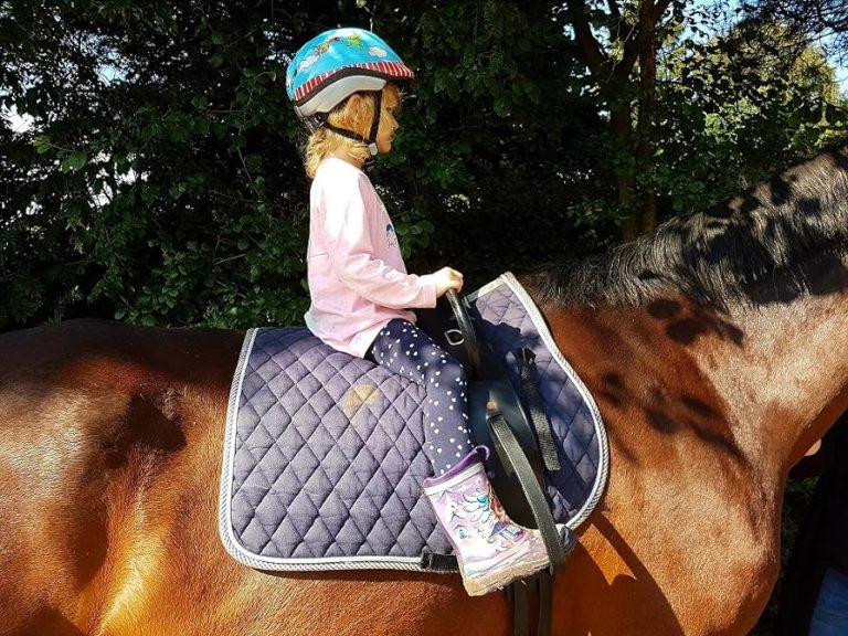 81qvpK3zP4L._AC_UF8941000_QL80_