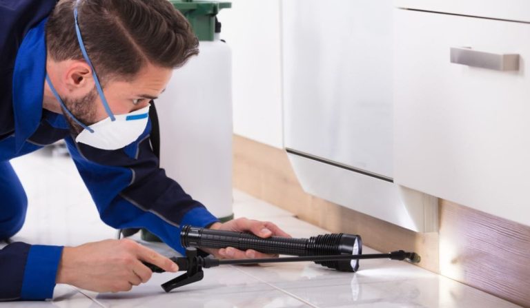 Pest-control-expert-1080x628
