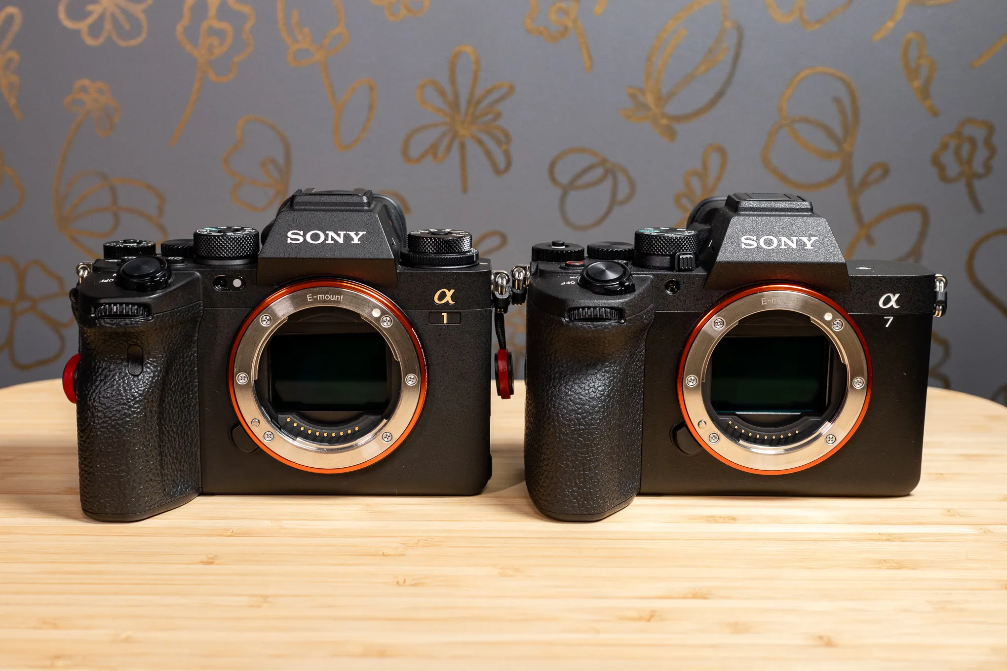 Sony a7 v